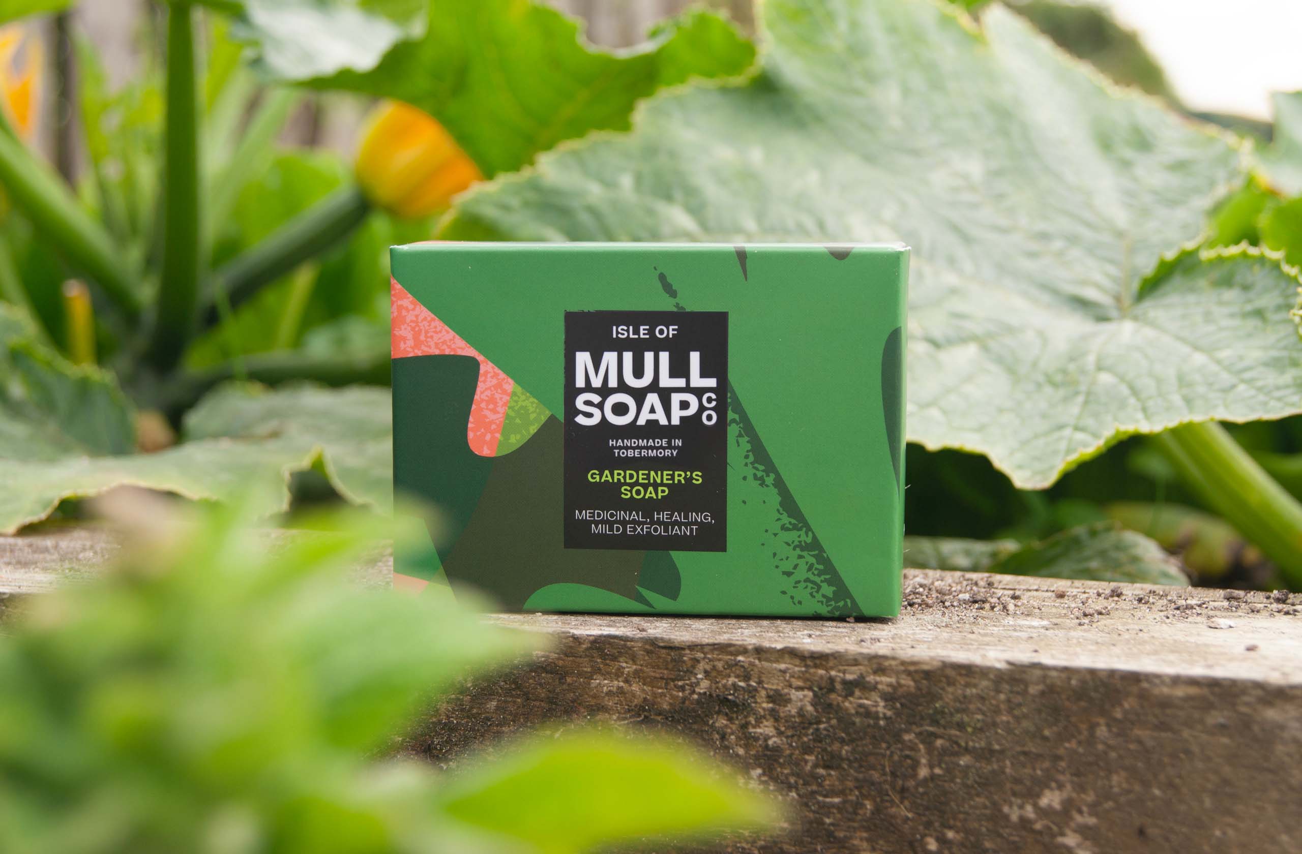 a gardeners soap box sitting on a shelf in a potting shed. The box is dark green and bold leaf design. The soap is medicinal, healing and a mild exfoliant. Handmade in Tobermory by the Isle of Mull soap co.