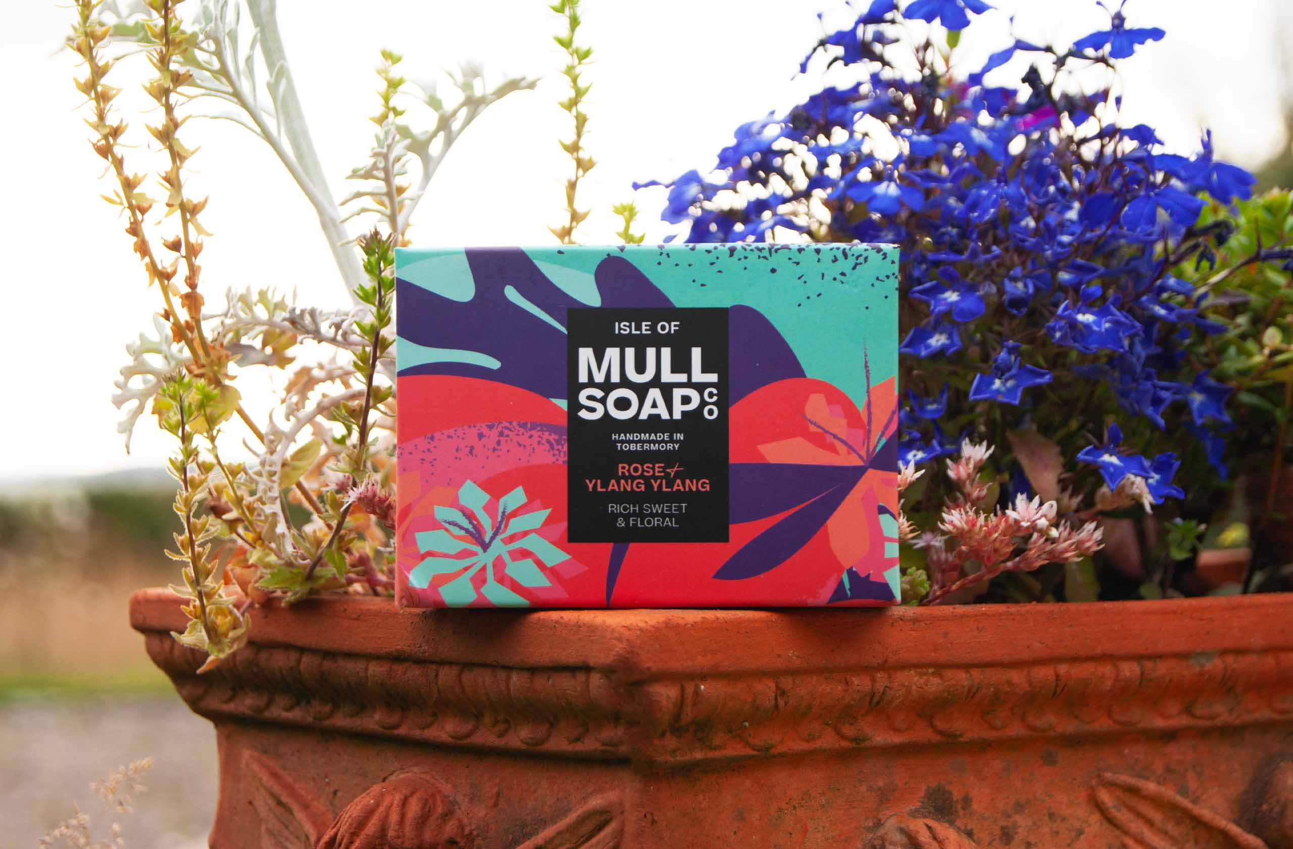 a rose and ylang ylang soap box sitting on the edge of a terracotta flower pot bursting with blue and white flowers. The box is a pink and purple colourful floral design. The soap is described as rich, sweet and floral. Handmade in Tobermory by the Isle of Mull soap co.