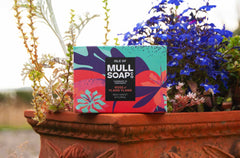 a rose and ylang ylang soap box sitting on the edge of a terracotta flower pot bursting with blue and white flowers. The box is a pink and purple colourful floral design. The soap is described as rich, sweet and floral. Handmade in Tobermory by the Isle of Mull soap co.