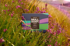 a mull heather soap box sitting in amongst green heather plants with purple flowers. The box is a purple and green rolling hills design. The soap is described as bright, fresh and light. Handmade in Tobermory by the Isle of Mull soap co.